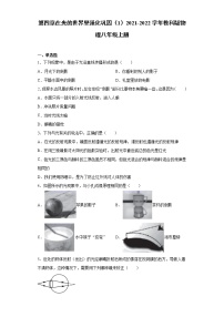 初中物理教科版八年级上册第四章 在光的世界里综合与测试课时作业