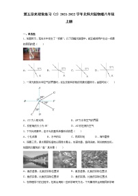 北师大版八年级上册第五章  光现象综合与测试课时作业