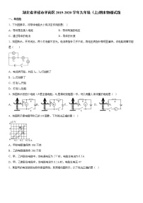 2019-2020学年九年级上学期湖北省孝感市孝南区期末物理试题（原卷+解析卷）