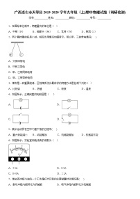 2019-2020学年九年级上学期广西崇左市天等县期中物理试题（调研检测)（原卷+解析卷）