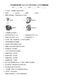 2019-2020学年九年级上学期广西北部湾经济区11月月考物理试题（原卷+解析卷）