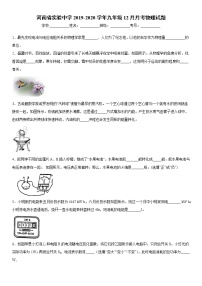 2019-2020学年九年级上学期河南省实验中学12月月考物理试题（原卷+解析卷）