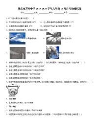 2019-2020学年九年级上学期重庆市万州中学10月月考物理试题（原卷+解析卷）