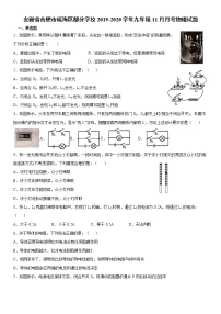 2019-2020学年九年级上学期安徽省合肥市瑶海区部分学校11月月考物理试题（原卷+解析卷）