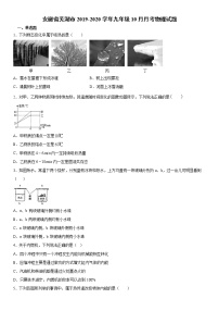 2019-2020学年九年级上学期安徽省芜湖市10月月考物理试题（原卷+解析卷）