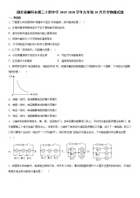 2019-2020学年九年级上学期湖北省襄阳市第三十四中学10月月考物理试题（原卷+解析卷）