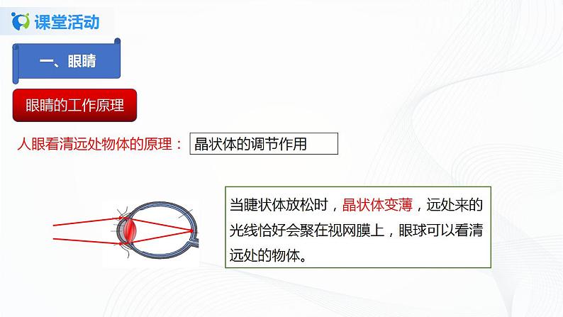 课时5.4  眼睛和眼镜-八年级上册（人教版）（课件+教案+练习）07