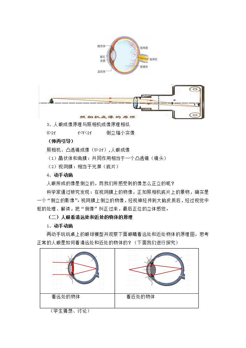 课时5.4  眼睛和眼镜-八年级上册（人教版）（课件+教案+练习）02