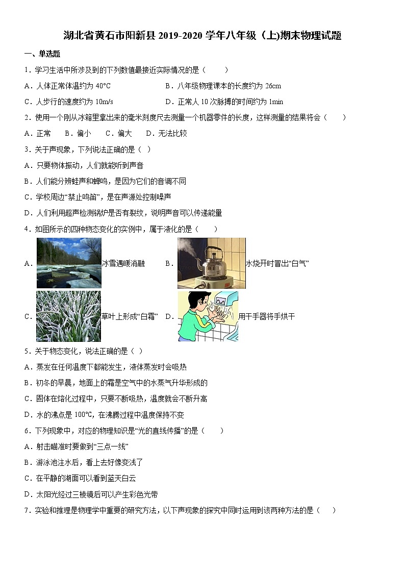 2019-2020学年八年级上学期湖北省黄石市阳新县期末物理试题（原卷+解析卷）01