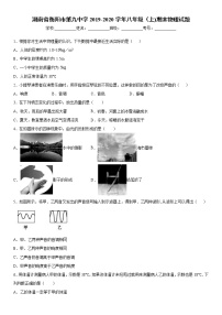 2019-2020学年八年级上学期湖南省衡阳市第九中学期末物理试题（原卷+解析卷）