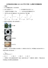 2019-2020学年八年级上学期江西省宜春市丰城市期末考试物理试题（原卷+解析卷）