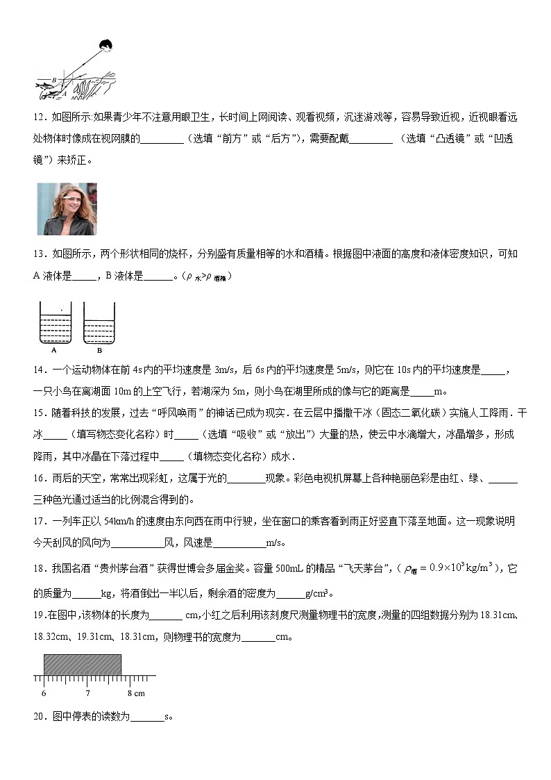 2019-2020学年八年级（上)江西省宜春市丰城市期末考试物理试题（解析卷）第3页