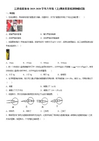 2019-2020学年八年级上学期江西省新余市期末质量检测物理试题（原卷+解析卷）