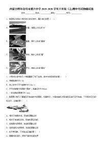 2019-2020学年八年级上学期内蒙古呼和浩特市第六中学期中考试物理试题（原卷+解析卷）