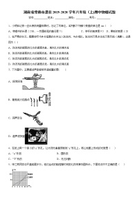 2019-2020学年八年级上学期湖南省常德市澧县期中物理试题（原卷+解析卷）