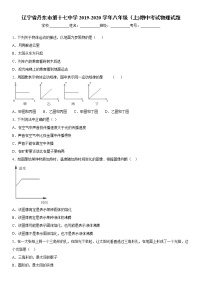 2019-2020学年八年级上学期辽宁省丹东市第十七中学期中考试物理试题（原卷+解析卷）