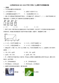 2019-2020学年八年级上学期江西省高安市期中考试物理试题（原卷+解析卷）