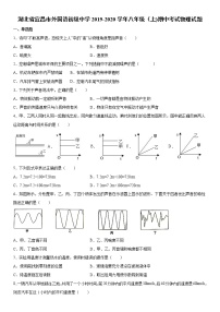 2019-2020学年八年级上学期湖北省宜昌市外国语初级中学期中考试物理试题（原卷+解析卷）