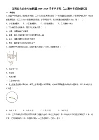 2019-2020学年八年级上学期江西省吉安市七校联盟期中考试物理试题（原卷+解析卷）