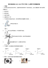 2019-2020学年八年级上学期湖北省仙桃市期中考试物理试题（原卷+解析卷）