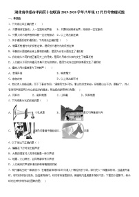 2019-2020学年八年级上学期湖北省孝感市孝南区十校联谊12月月考物理试题（原卷+解析卷）