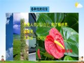 人教版八年级物理上册《第四章第1节 光的直线传播》教学课件PPT初二优秀公开课