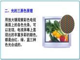 2021年初中物理北师大版八年级上册 第五章 5.5 物体的颜色 课件