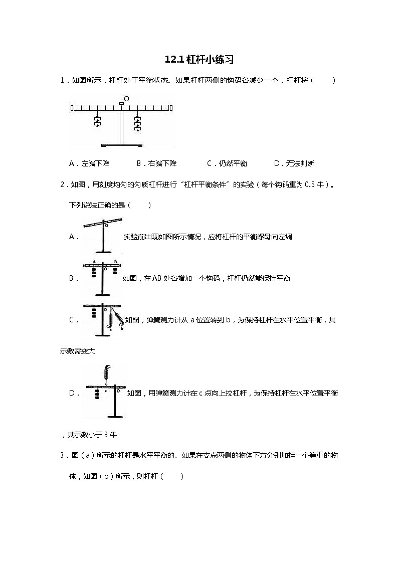 人教版八年级下册12.1杠杆小练习（word无答案）01