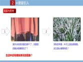 2021-2022学年初中物理教科版八年级上册 5.4  地球上的水循环 同步教学课件