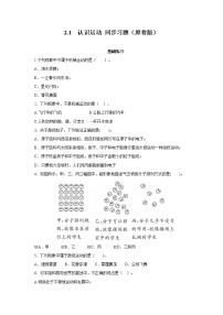 认识运动PPT课件免费下载