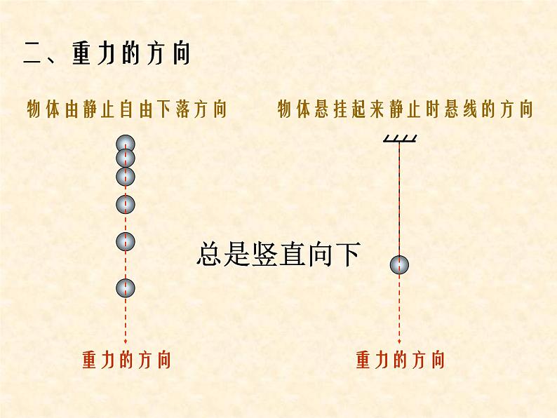 人教版八年级物理下册7.3 重力（共28张ppt）第6页