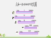 初中物理沪科版八年级第三章第三节超声与次声课件PPT