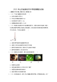 2021年山东省潍坊市中考物理模拟试卷