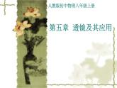 人教版-八年级物理上《透镜及其应用》章节复习课件PPT