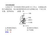 5.5显微镜和望远镜 课件 2021-2022学年人教版八年级上册物理