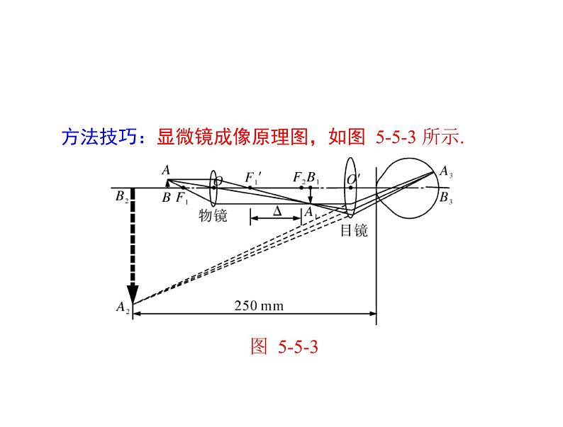 5.5显微镜和望远镜 课件 2021-2022学年人教版八年级上册物理第7页