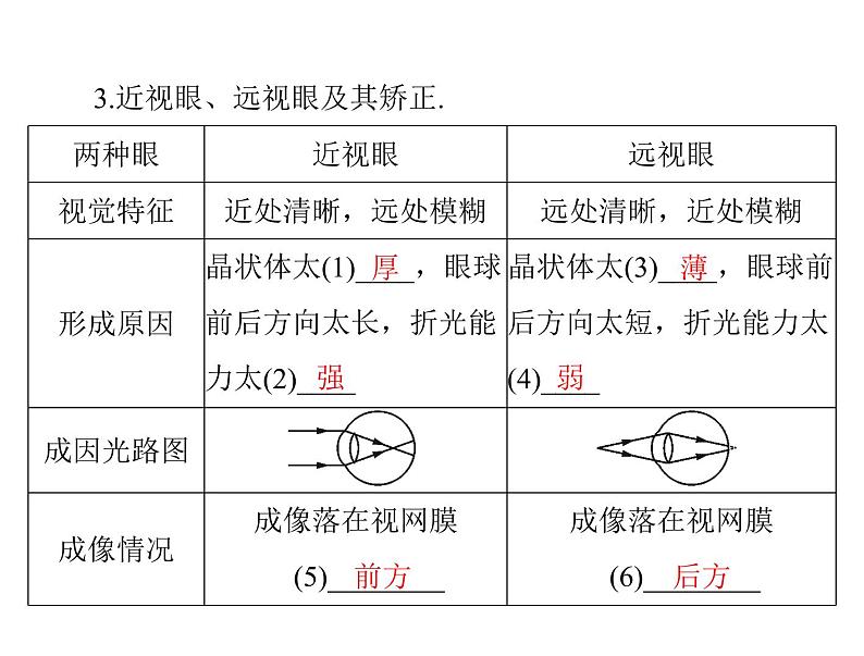 5.4 眼睛和眼镜 课件 2021-2022学年人教版八年级上册物理第3页