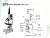 5.5显微镜和望远镜   课件 2021-2022学年人教版物理八年级上册