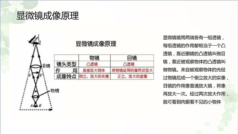 5.5显微镜和望远镜   课件 2021-2022学年人教版物理八年级上册第4页