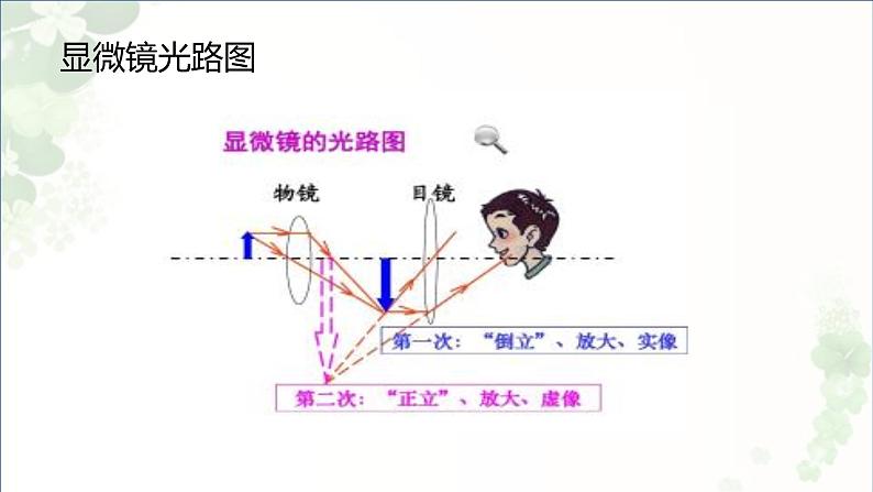 5.5显微镜和望远镜   课件 2021-2022学年人教版物理八年级上册第5页