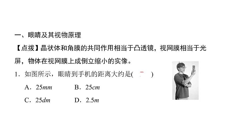 第五章第4节眼睛和眼镜 课件 2021-2022学年人教版八年级上册物理02