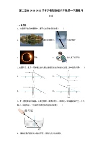 初中沪教版第二章 光综合与测试练习