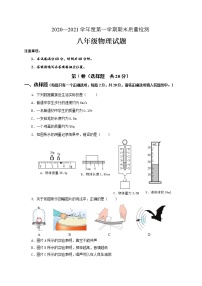 山东省济宁市金乡县2020-2021学年八年级上学期期末考试物理试题