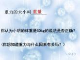 沪科版八年级全册 物理 课件 6.4来自地球的力3