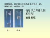 沪科版八年级全册 物理 课件 9.2阿基米德原理3