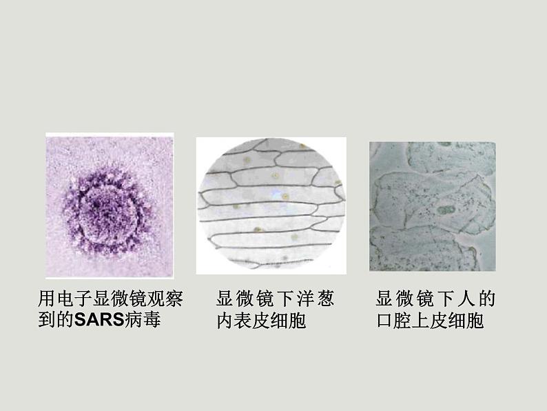 沪科版八年级全册 物理 课件 11.1走进微观2第4页