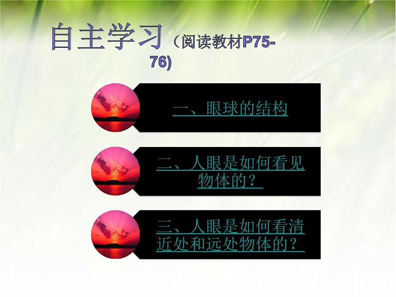 沪科版八年级全册 物理 课件 4.6神奇的眼睛304