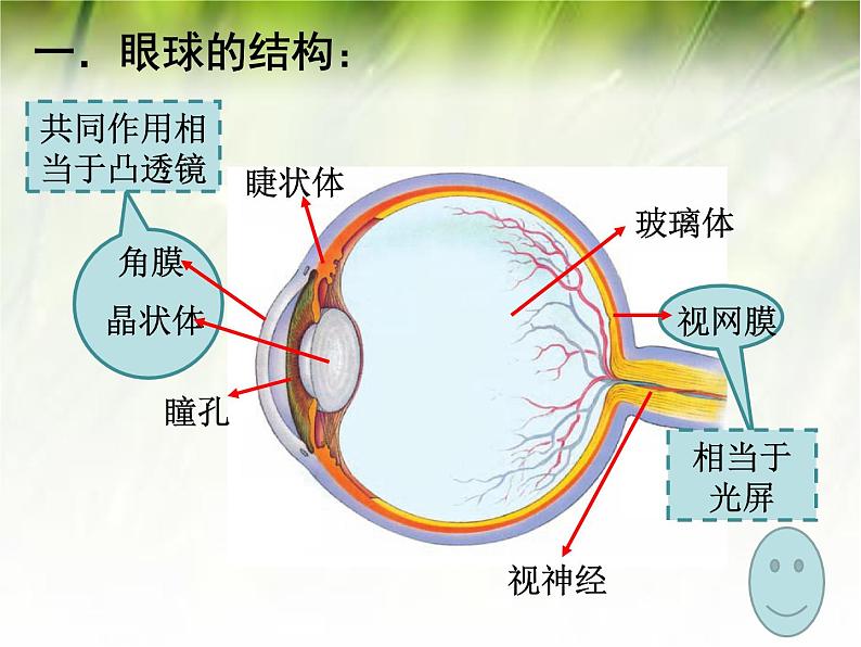 沪科版八年级全册 物理 课件 4.6神奇的眼睛305