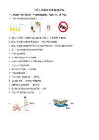 2021年广东省深圳市中考物理试题（原卷+解析）