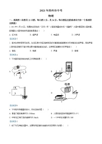 2021年江苏省苏州市中考物理试题（含答案）